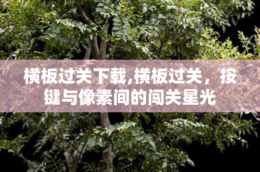 横板过关下载,横板过关,按键与像素间的闯关星光 横板过关下载,横板过关,按键与像素间的闯关星光
