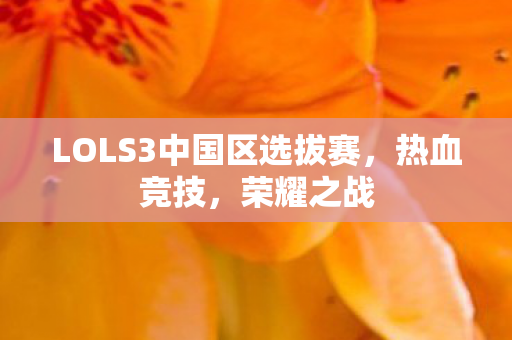 LOLS3中国区选拔赛,热血竞技,荣耀之战 LOLS3中国区选拔赛,热血竞技,荣耀之战