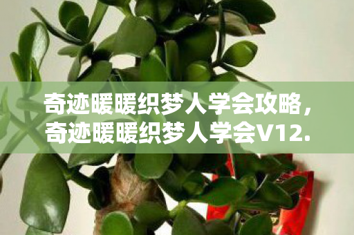 奇迹暖暖织梦人学会攻略，奇迹暖暖织梦人学会V12.0蹊跷更新！老玩家集体泪目，这波情怀杀太狠了