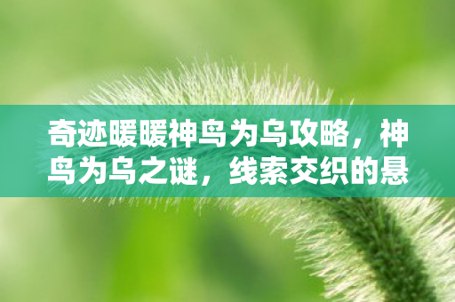 奇迹暖暖神鸟为乌攻略,神鸟为乌之谜,线索交织的悬案,毛骨悚然困我十年 奇迹暖暖神鸟为乌攻略,神鸟为乌之谜,线索交织的悬案,毛骨悚然困我十年