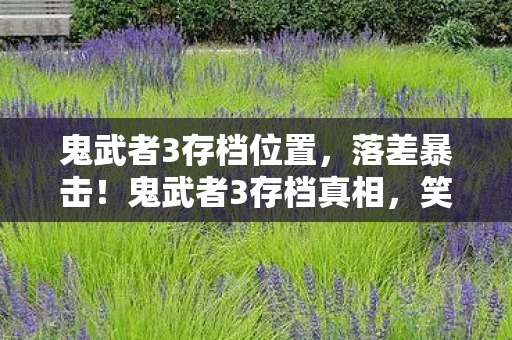 鬼武者3存档位置,落差暴击!鬼武者3存档真相,笑着骂完,哭着重开 鬼武者3存档位置,落差暴击!鬼武者3存档真相,笑着骂完,哭着重开