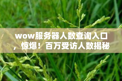 wow服务器人数查询入口,惊爆!百万受访人数揭秘wow服务器人数疑点,老玩家都绷不住了! wow服务器人数查询入口,惊爆!百万受访人数揭秘wow服务器人数疑点,老玩家都绷不住了!