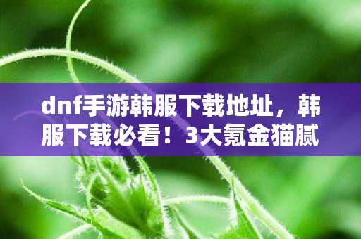 dnf手游韩服下载地址,韩服下载必看!3大氪金猫腻+5个伪创新陷阱,这波操作太上头 dnf手游韩服下载地址,韩服下载必看!3大氪金猫腻+5个伪创新陷阱,这波操作太上头