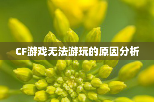 CF游戏无法游玩的原因分析