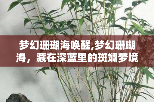 梦幻珊瑚海唤醒,梦幻珊瑚海,藏在深蓝里的斑斓梦境 梦幻珊瑚海唤醒,梦幻珊瑚海,藏在深蓝里的斑斓梦境