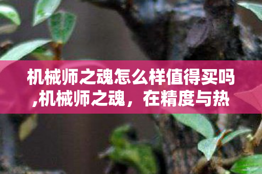 机械师之魂怎么样值得买吗,机械师之魂,在精度与热爱里淬炼的匠心 机械师之魂怎么样值得买吗,机械师之魂,在精度与热爱里淬炼的匠心