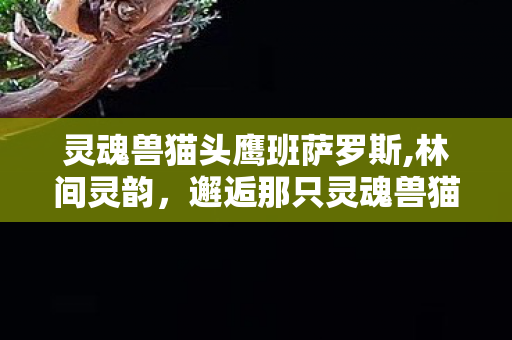 灵魂兽猫头鹰班萨罗斯,林间灵韵，邂逅那只灵魂兽猫头鹰