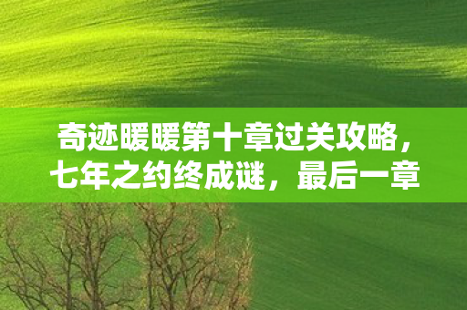 奇迹暖暖第十章过关攻略,七年之约终成谜,最后一章泪目谢幕,奇迹暖暖第十章的永恒守望 奇迹暖暖第十章过关攻略,七年之约终成谜,最后一章泪目谢幕,奇迹暖暖第十章的永恒守望