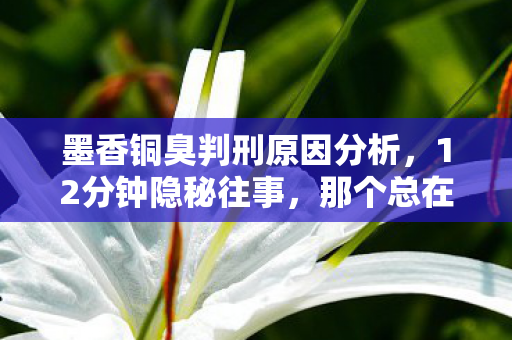 墨香铜臭判刑原因分析,12分钟隐秘往事,那个总在凌晨三点哽咽的ID,如今只剩灰白头像 墨香铜臭判刑原因分析,12分钟隐秘往事,那个总在凌晨三点哽咽的ID,如今只剩灰白头像