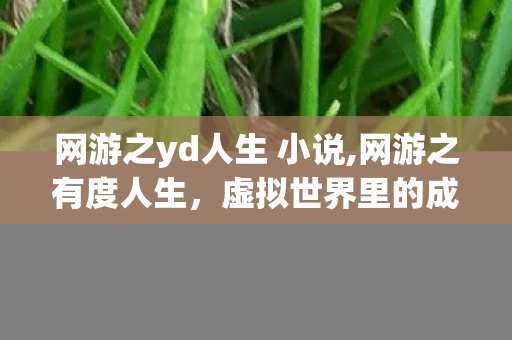 网游之yd人生 小说,网游之有度人生，虚拟世界里的成长微光