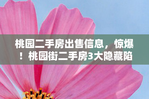 桃园二手房出售信息,惊爆!桃园街二手房3大隐藏陷阱,99%购房者血泪心得 桃园二手房出售信息,惊爆!桃园街二手房3大隐藏陷阱,99%购房者血泪心得