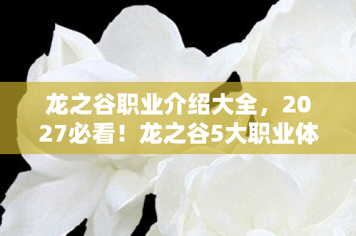 龙之谷职业介绍大全,2027必看!龙之谷5大职业体验实测,选错直接落后一个版本? 龙之谷职业介绍大全,2027必看!龙之谷5大职业体验实测,选错直接落后一个版本?