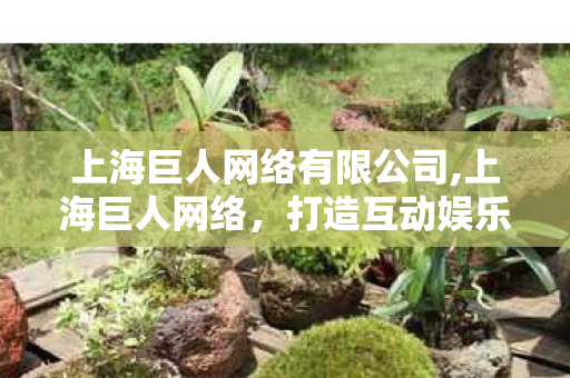 上海巨人网络有限公司,上海巨人网络，打造互动娱乐领域的创新标杆