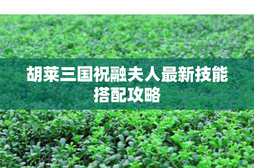 胡莱三国祝融夫人最新技能搭配攻略 胡莱三国祝融夫人最新技能搭配攻略