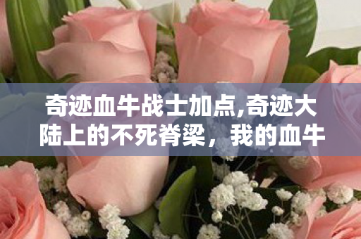 奇迹血牛战士加点,奇迹大陆上的不死脊梁,我的血牛战友 奇迹血牛战士加点,奇迹大陆上的不死脊梁,我的血牛战友