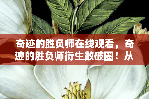 奇迹的胜负师在线观看,奇迹的胜负师衍生数破圈!从屏幕到生活,意想不到的周边狂潮来袭! 奇迹的胜负师在线观看,奇迹的胜负师衍生数破圈!从屏幕到生活,意想不到的周边狂潮来袭!