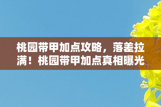 桃园带甲加点攻略,落差拉满!桃园带甲加点真相曝光,笑着骂完,最后却笑着哭了 桃园带甲加点攻略,落差拉满!桃园带甲加点真相曝光,笑着骂完,最后却笑着哭了