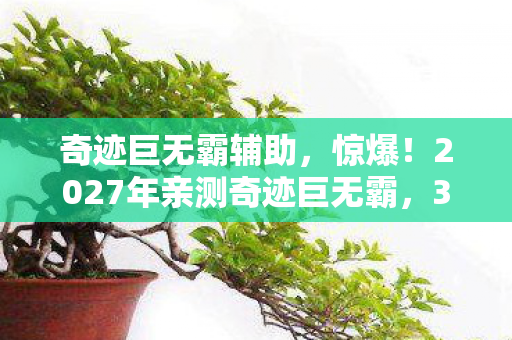 奇迹巨无霸辅助,惊爆!2027年亲测奇迹巨无霸,3天瘦5斤的燃脂狂欢! 奇迹巨无霸辅助,惊爆!2027年亲测奇迹巨无霸,3天瘦5斤的燃脂狂欢!