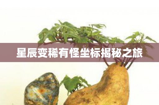 星辰变稀有怪坐标揭秘之旅 星辰变稀有怪坐标揭秘之旅