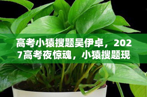 高考小猿搜题吴伊卓,2027高考夜惊魂,小猿搜题现血色密码,悬案背后谁在操控? 高考小猿搜题吴伊卓,2027高考夜惊魂,小猿搜题现血色密码,悬案背后谁在操控?
