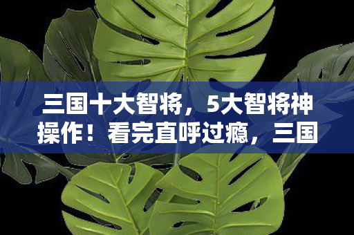 三国十大智将,5大智将神操作!看完直呼过瘾,三国迷的颅内高潮时刻 三国十大智将,5大智将神操作!看完直呼过瘾,三国迷的颅内高潮时刻