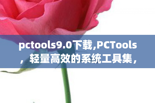 pctools9.0下载,PCTools,轻量高效的系统工具集,为日常电脑运维赋能 pctools9.0下载,PCTools,轻量高效的系统工具集,为日常电脑运维赋能