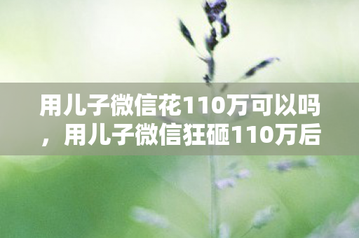 用儿子微信花110万可以吗,用儿子微信狂砸110万后,我翻到他未发送的遗书,这哪是游戏,是吃人的深渊 用儿子微信花110万可以吗,用儿子微信狂砸110万后,我翻到他未发送的遗书,这哪是游戏,是吃人的深渊