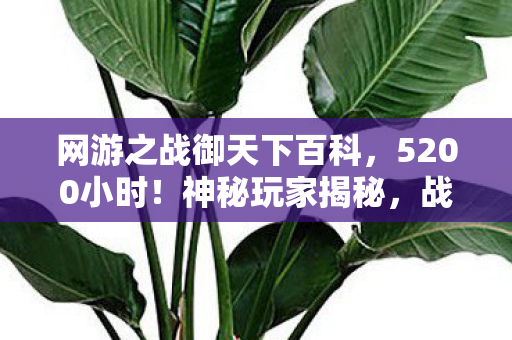 网游之战御天下百科,5200小时!神秘玩家揭秘,战御天下背后的心酸与坚守 网游之战御天下百科,5200小时!神秘玩家揭秘,战御天下背后的心酸与坚守