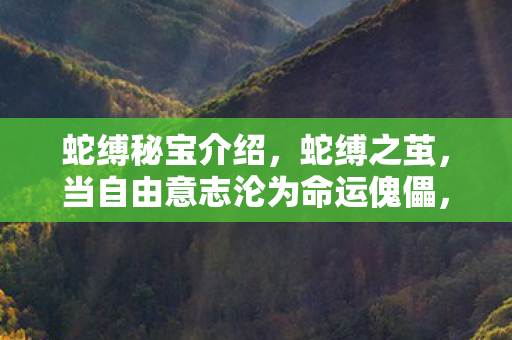 蛇缚秘宝介绍，蛇缚之茧，当自由意志沦为命运傀儡，灵魂在层级悖论中震颤