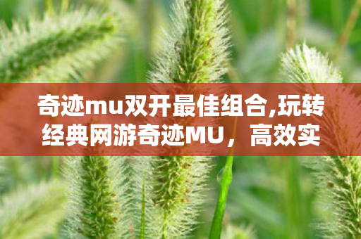 奇迹mu双开最佳组合,玩转经典网游奇迹MU,高效实现双开的实用指南 奇迹mu双开最佳组合,玩转经典网游奇迹MU,高效实现双开的实用指南