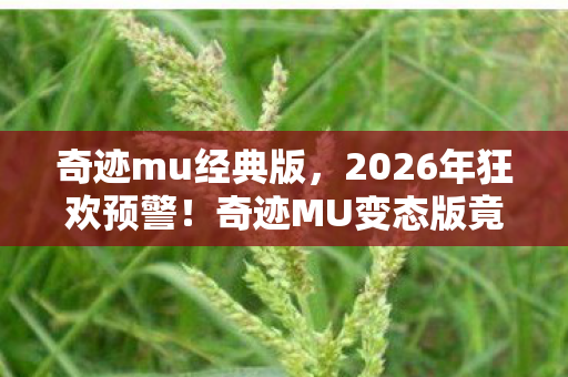 奇迹mu经典版，2026年狂欢预警！奇迹MU变态版竟藏惊天彩蛋，你敢来揭秘吗？