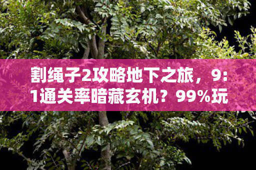 割绳子2攻略地下之旅,9:1通关率暗藏玄机?99%玩家卡关的真相,竟藏在这根绳里! 割绳子2攻略地下之旅,9:1通关率暗藏玄机?99%玩家卡关的真相,竟藏在这根绳里!