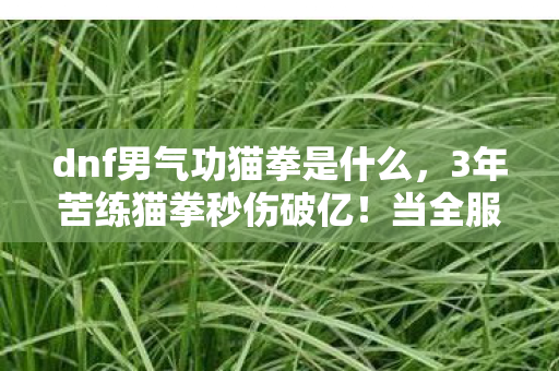 dnf男气功猫拳是什么,3年苦练猫拳秒伤破亿!当全服第一男气功突然删号,背后藏着DNF最痛的真相…… dnf男气功猫拳是什么,3年苦练猫拳秒伤破亿!当全服第一男气功突然删号,背后藏着DNF最痛的真相……
