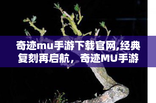 奇迹mu手游下载官网,经典复刻再启航，奇迹MU手游下载解锁魔幻新世界