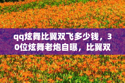 qq炫舞比翼双飞多少钱，30位炫舞老炮自曝，比翼双飞新模式竟藏着这离谱疑点，我直接绷不住！