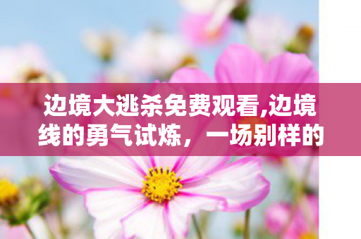 边境大逃杀免费观看,边境线的勇气试炼,一场别样的边境大逃杀 边境大逃杀免费观看,边境线的勇气试炼,一场别样的边境大逃杀