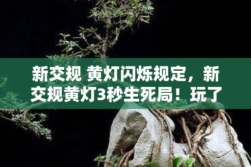 新交规 黄灯闪烁规定,新交规黄灯3秒生死局!玩了10年车,这次真要栽? 新交规 黄灯闪烁规定,新交规黄灯3秒生死局!玩了10年车,这次真要栽?