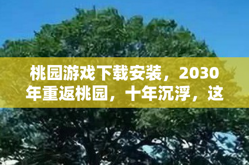 桃园游戏下载安装,2030年重返桃园,十年沉浮,这游戏藏着多少惊天秘密? 桃园游戏下载安装,2030年重返桃园,十年沉浮,这游戏藏着多少惊天秘密?