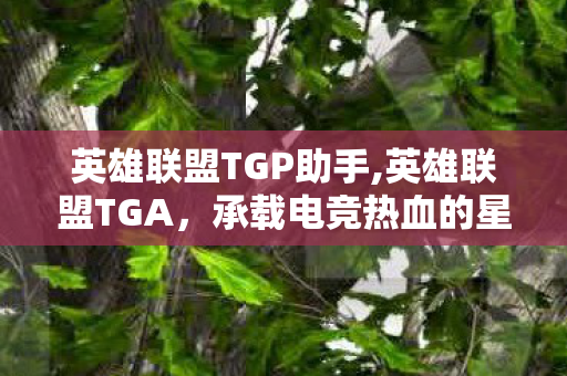 英雄联盟TGP助手,英雄联盟TGA,承载电竞热血的星光舞台 英雄联盟TGP助手,英雄联盟TGA,承载电竞热血的星光舞台