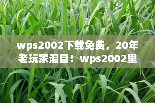 wps2002下载免费,20年老玩家泪目!wps2002里藏着3000小时青春,如今竟成绝版回忆? wps2002下载免费,20年老玩家泪目!wps2002里藏着3000小时青春,如今竟成绝版回忆?