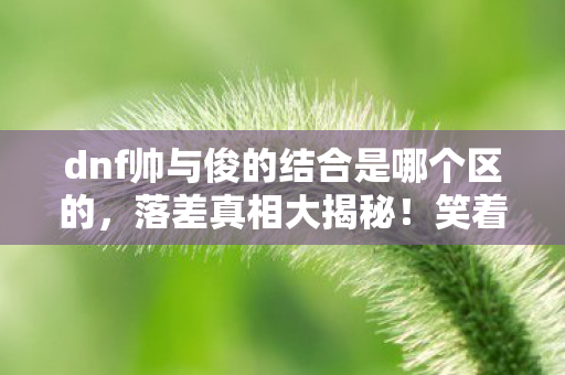 dnf帅与俊的结合是哪个区的,落差真相大揭秘!笑着骂DNF帅与俊,笑着笑着竟哭了 dnf帅与俊的结合是哪个区的,落差真相大揭秘!笑着骂DNF帅与俊,笑着笑着竟哭了