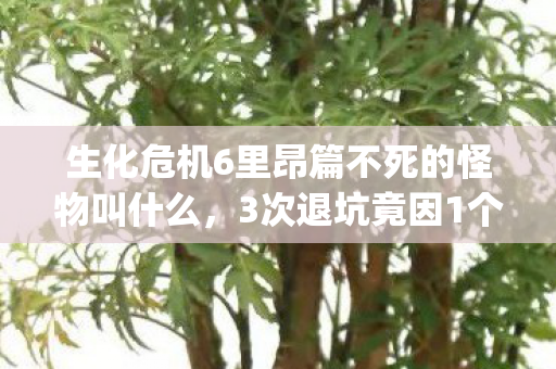 生化危机6里昂篇不死的怪物叫什么,3次退坑竟因1个bug!2027年重返里昂篇,我发现了惊天秘密! 生化危机6里昂篇不死的怪物叫什么,3次退坑竟因1个bug!2027年重返里昂篇,我发现了惊天秘密!