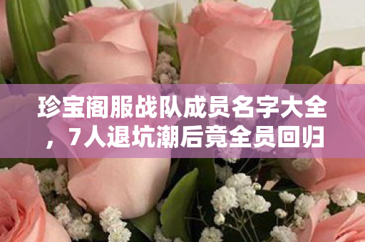 珍宝阁服战队成员名字大全,7人退坑潮后竟全员回归!珍宝阁服战队这波操作让我惊掉下巴! 珍宝阁服战队成员名字大全,7人退坑潮后竟全员回归!珍宝阁服战队这波操作让我惊掉下巴!