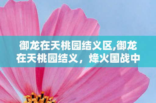 御龙在天桃园结义区,御龙在天桃园结义,烽火国战中的兄弟羁绊 御龙在天桃园结义区,御龙在天桃园结义,烽火国战中的兄弟羁绊