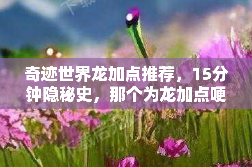 奇迹世界龙加点推荐,15分钟隐秘史,那个为龙加点哽咽的深夜,你还记得吗? 奇迹世界龙加点推荐,15分钟隐秘史,那个为龙加点哽咽的深夜,你还记得吗?