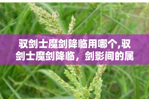 驭剑士魔剑降临用哪个,驭剑士魔剑降临，剑影间的属性奥义