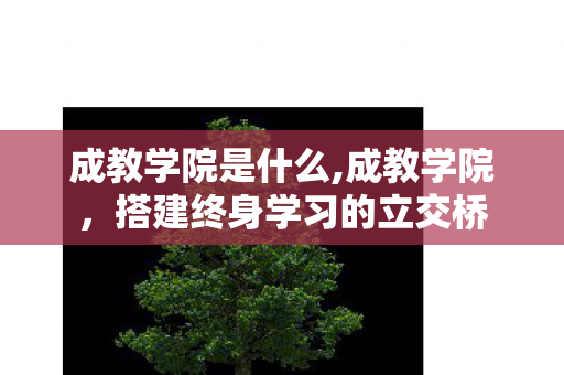 成教学院是什么,成教学院,搭建终身学习的立交桥 成教学院是什么,成教学院,搭建终身学习的立交桥