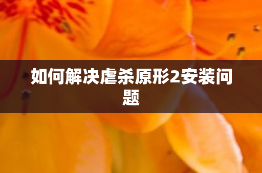 如何解决虐杀原形2安装问题 如何解决虐杀原形2安装问题