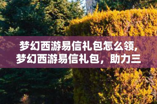 梦幻西游易信礼包怎么领,梦幻西游易信礼包,助力三界侠客的专属福利 梦幻西游易信礼包怎么领,梦幻西游易信礼包,助力三界侠客的专属福利