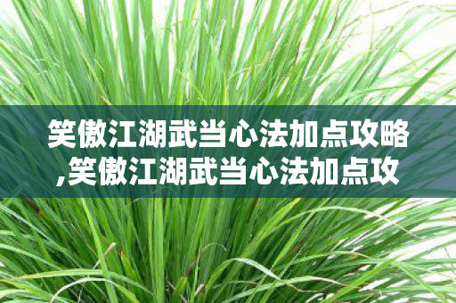 笑傲江湖武当心法加点攻略,笑傲江湖武当心法加点攻略，塑造太极流的攻防平衡之道